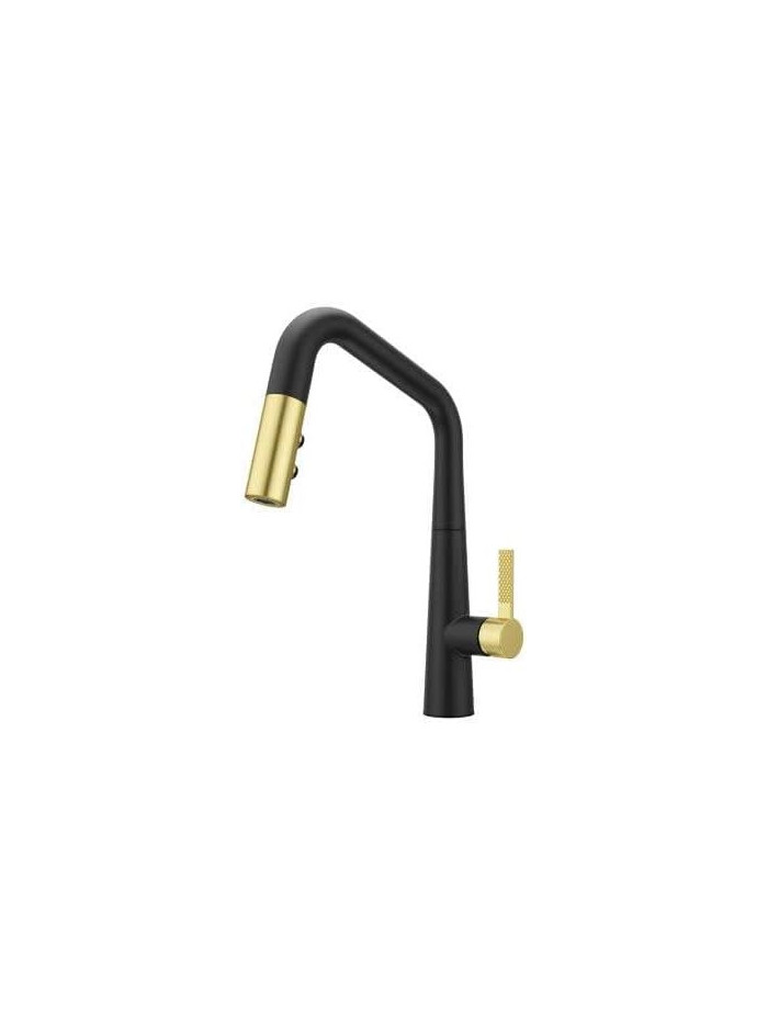 MONOCONTROL COCINA NEGRO MATE DORADO PFISTER
