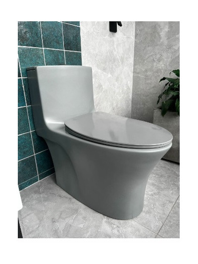 SANITARIO UNA PIEZA GRIS