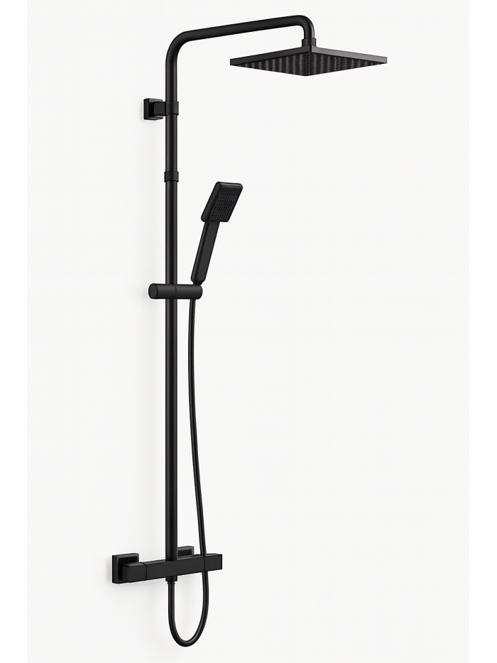 ESTRUCTURA DE DUCHA NEGRA