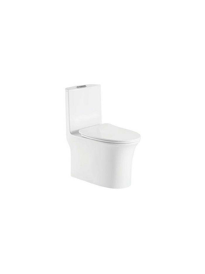 SANITARIO DE UNA PIEZA BLANCO 690370770MM