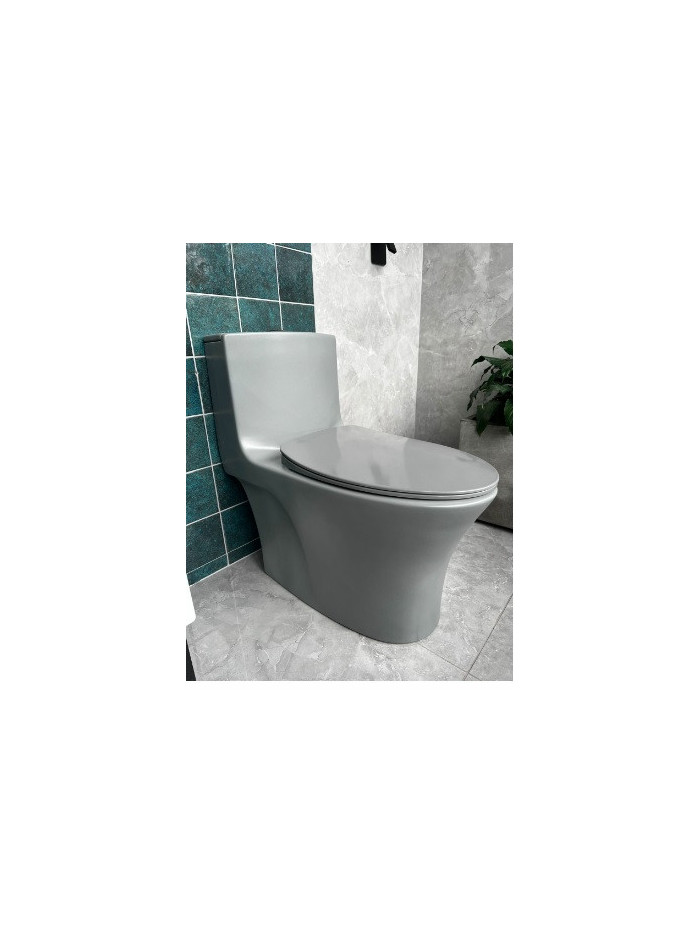 SANITARIO UNA PIEZA GRIS