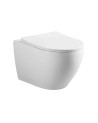 TAZA SANITARIO DE PARED 1901525x360x320MM