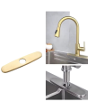PLACA 8 PULGADAS BRUSHED GOLD